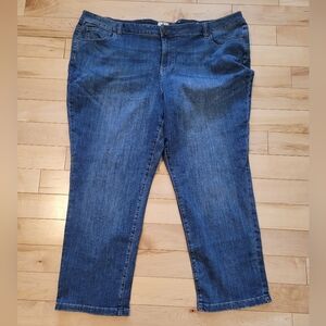 Penningtons d/C Jeans Women's Size 30 Blue Jeans